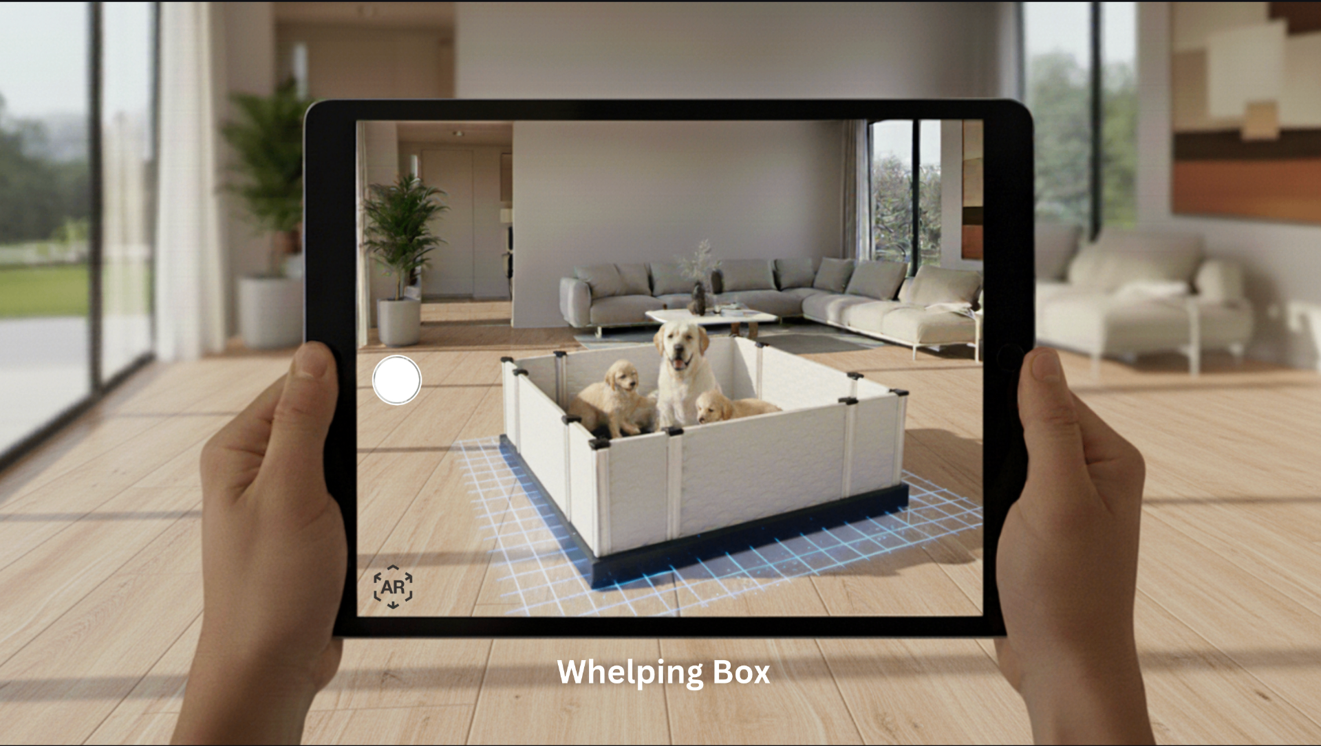 Whelping box